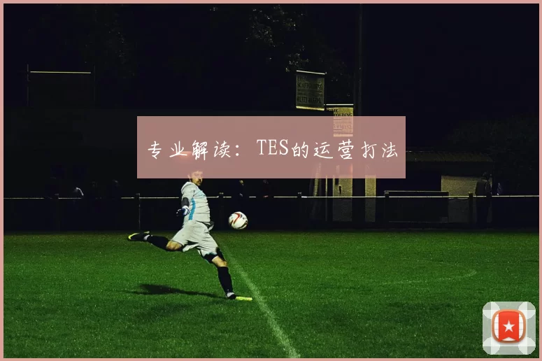 专业解读：TES的运营打法
