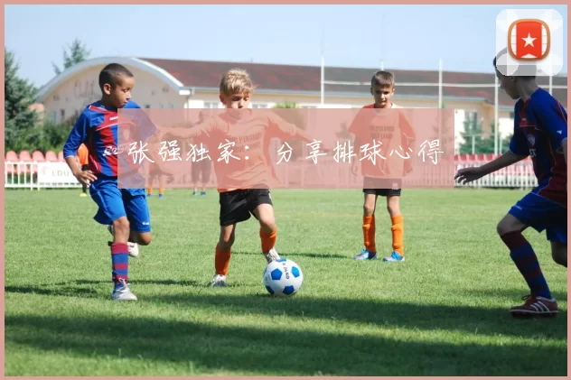 张强独家：分享排球心得