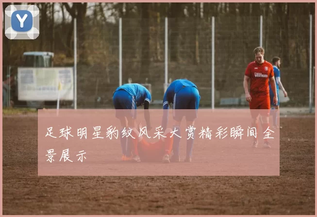 足球明星豹纹风采大赏精彩瞬间全景展示