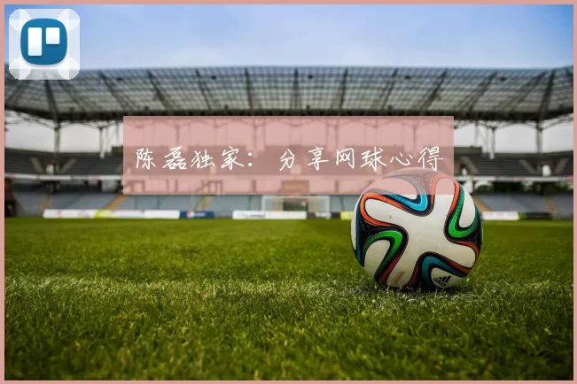 陈磊独家：分享网球心得