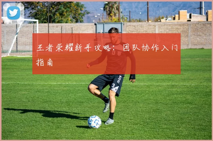 王者荣耀新手攻略：团队协作入门指南