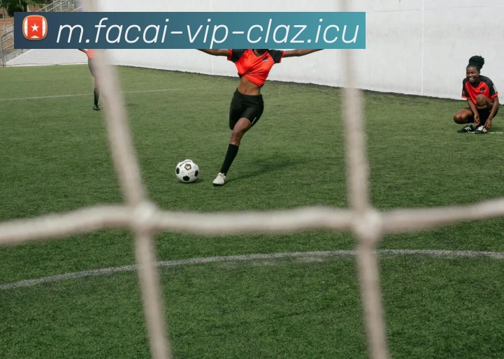 MK体育平台生态图